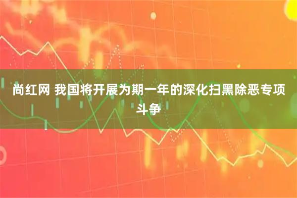 尚红网 我国将开展为期一年的深化扫黑除恶专项斗争