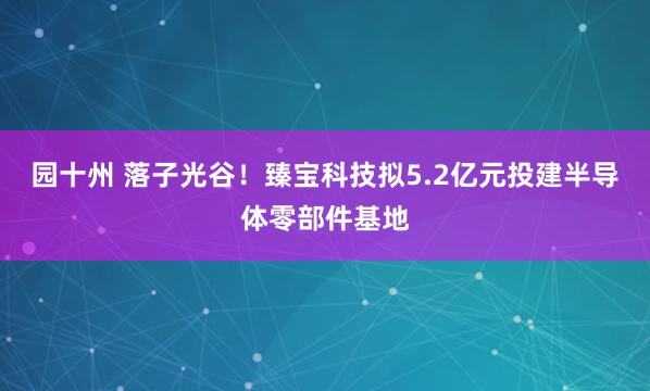 园十州 落子光谷！臻宝科技拟5.2亿元投建半导体零部件基地